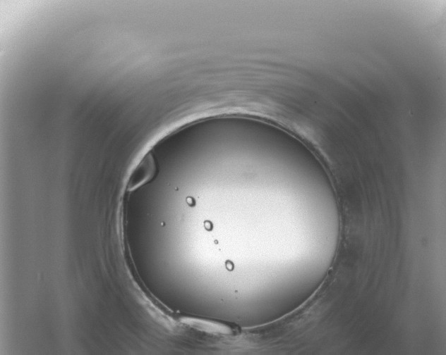 X0000062151516200512121254