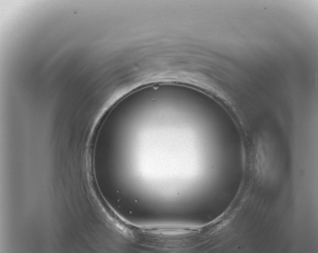 X0000062151517200512121254