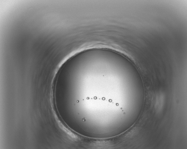 X0000062151518200512121254