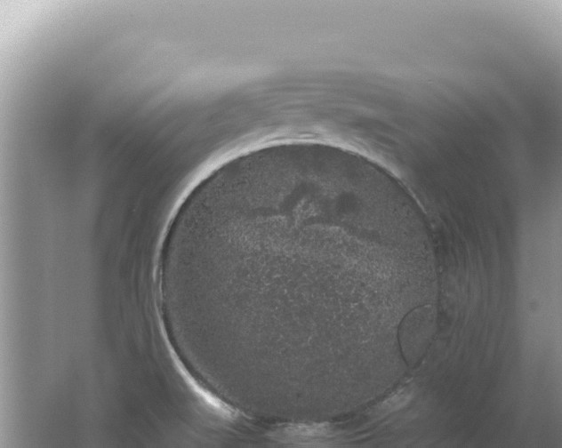 X0000062151519200512121254