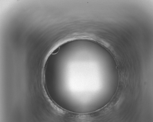 X0000062151520200512121254