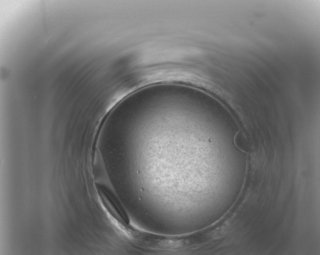 X0000062151521200512121254