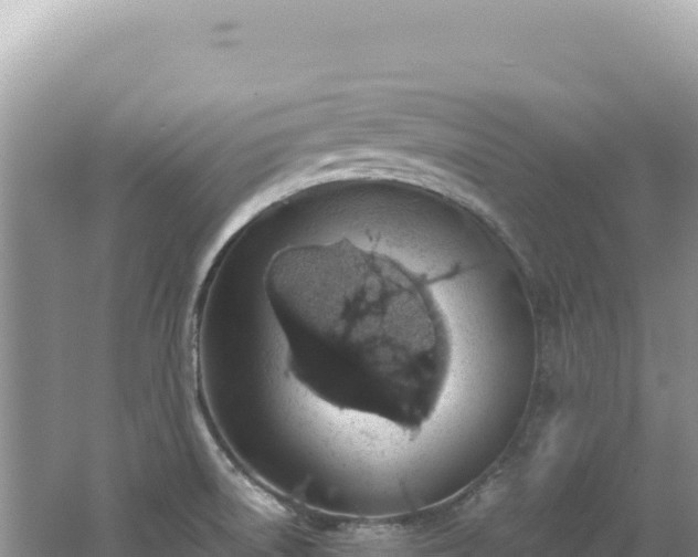 X0000062151522200512121254