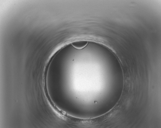 X0000062151523200512121254