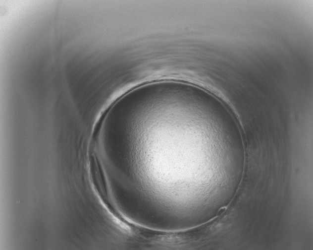 X0000062151525200512121254