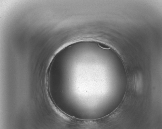 X0000062151526200512121254