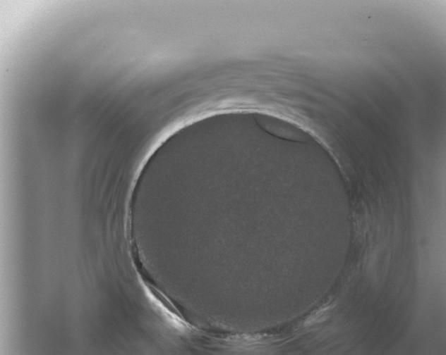 X0000062151527200512121254