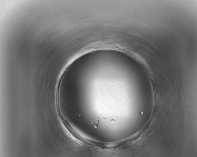 X0000062151528200512121254