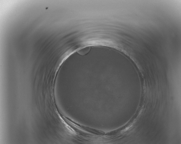 X0000062151529200512121254