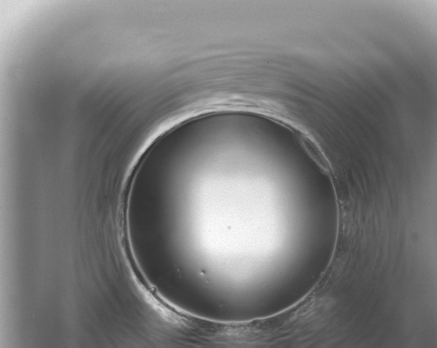 X0000062151531200512121254