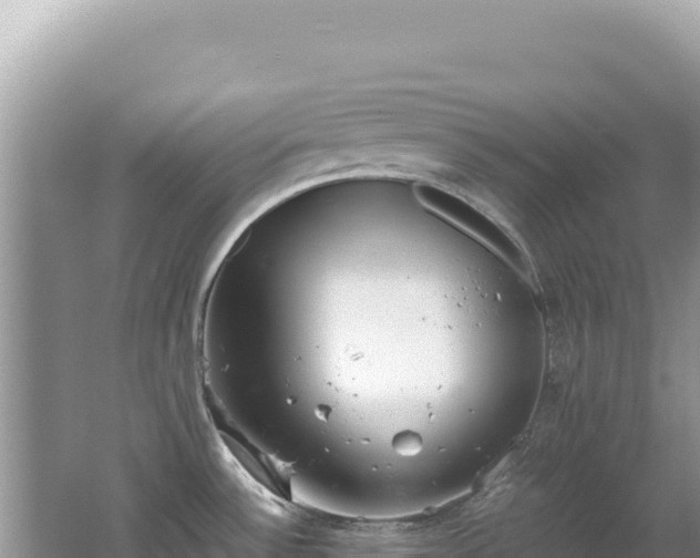 X0000062151532200512121254