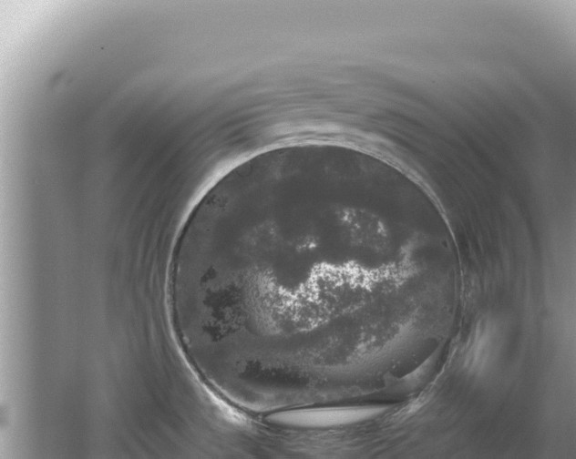 X0000062151533200512121254