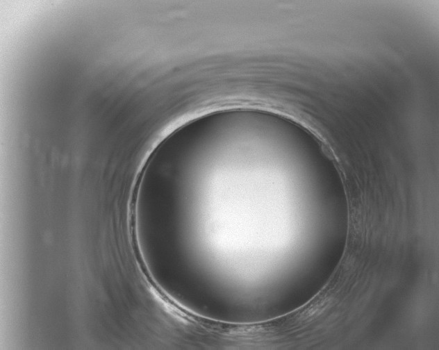 X0000062151535200512121254