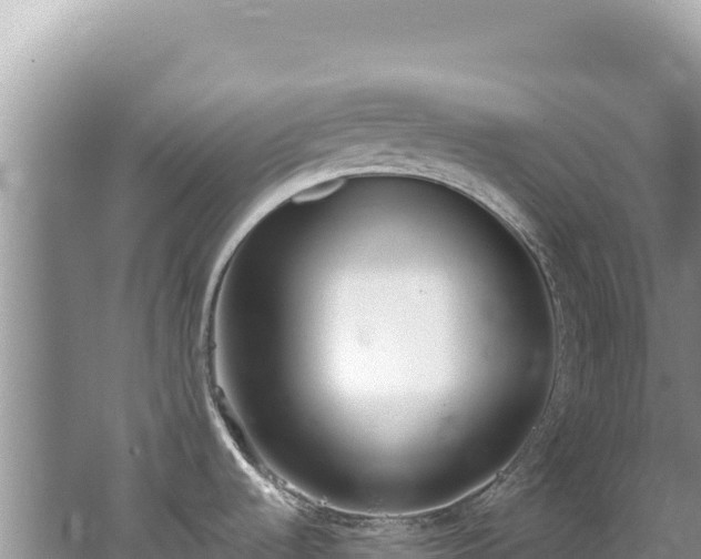 X0000062151536200512121254