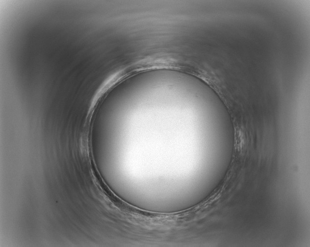 X0000062150004200512161247