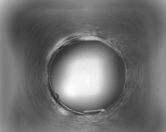 X0000062150005200512161247