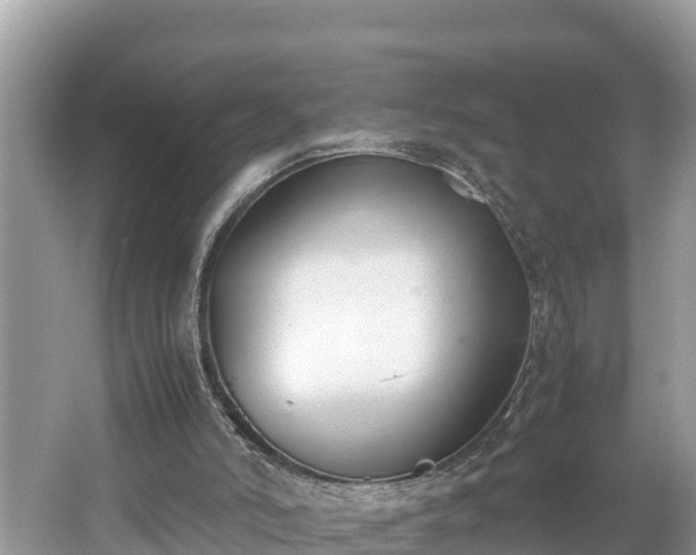 X0000062150006200512161247