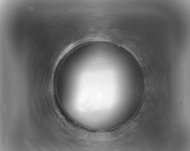 X0000062150008200512161247