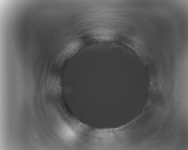 X0000062150029200512161246