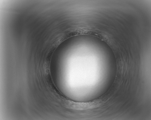 X0000062150034200512161246