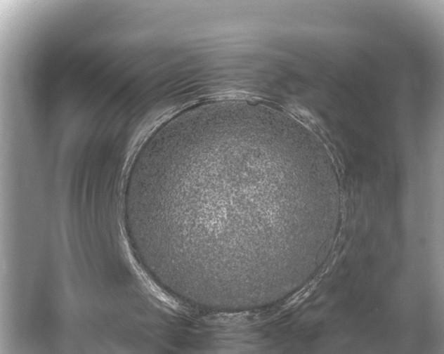 X0000062150049200512161245