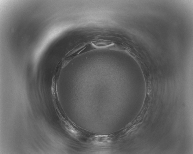 X0000062150052200512161245