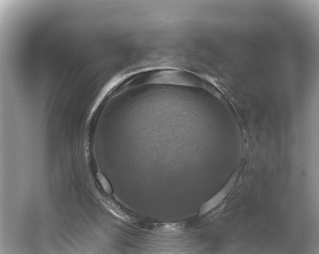 X0000062150056200512161245