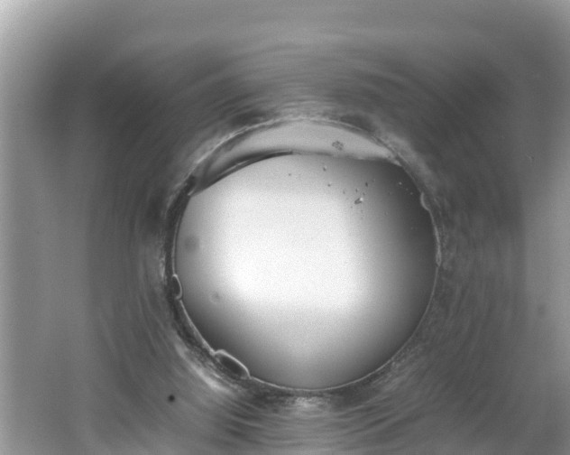 X0000062150060200512161245