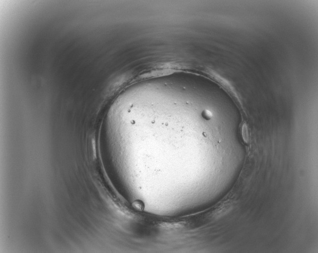 X0000062150061200512161245