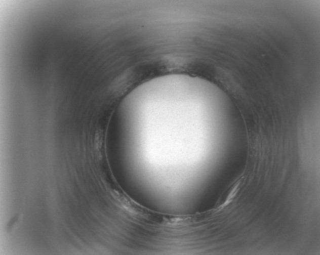 X0000062150082200512161246