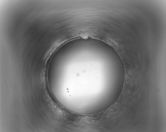 X0000062150098200512161245