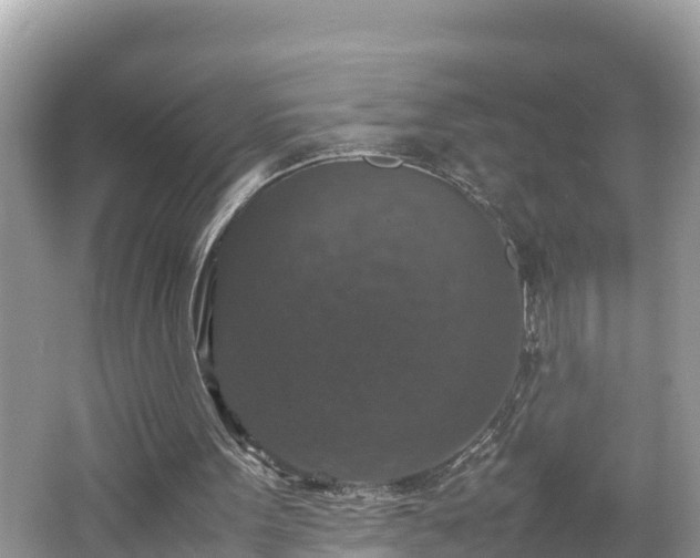 X0000062150099200512161245