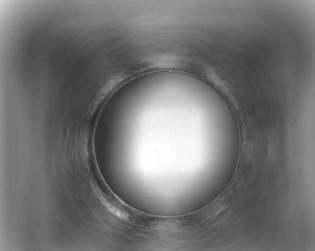 X0000062150106200512161245