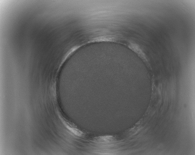 X0000062150108200512161245