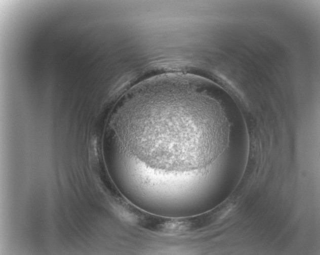 X0000062150117200512161245