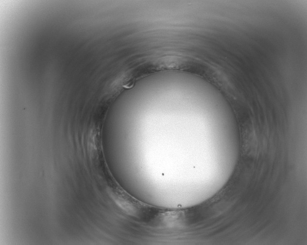 X0000062150126200512161244