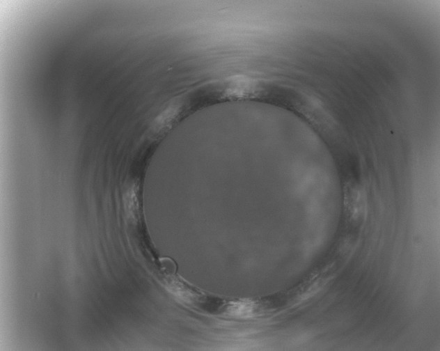 X0000062150127200512161244