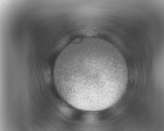 X0000062150128200512161244