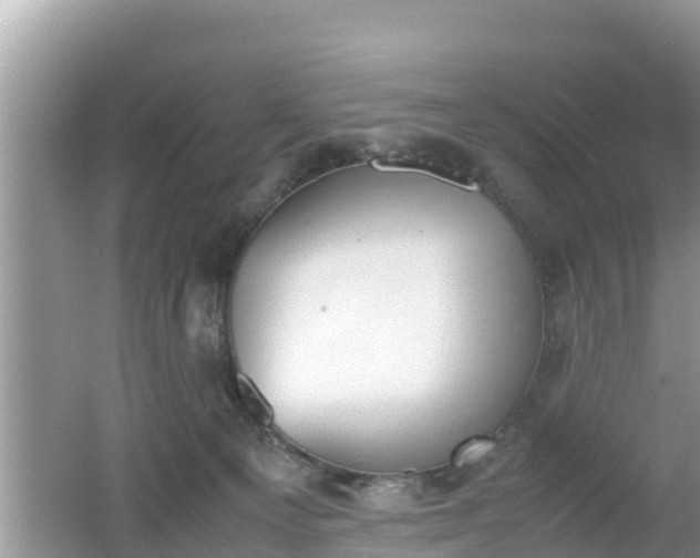 X0000062150129200512161244