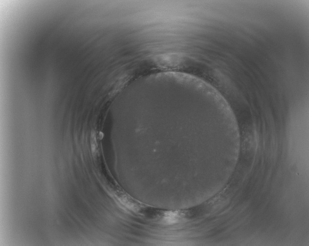 X0000062150130200512161244