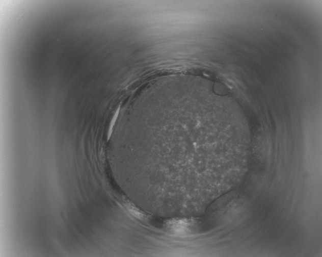 X0000062150131200512161244