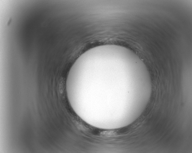 X0000062150133200512161244