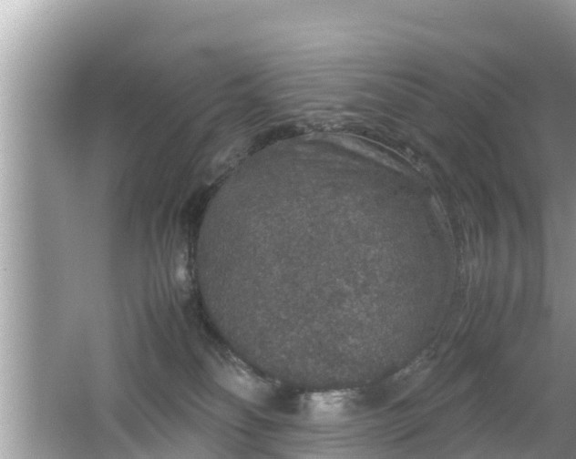 X0000062150134200512161244