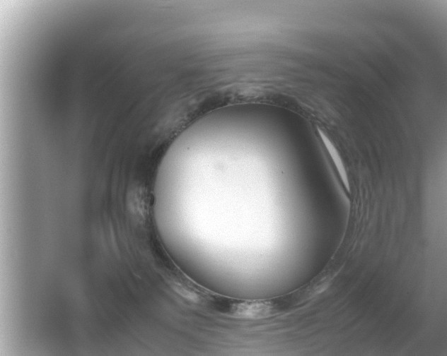 X0000062150135200512161244