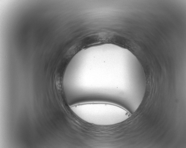 X0000062150137200512161244