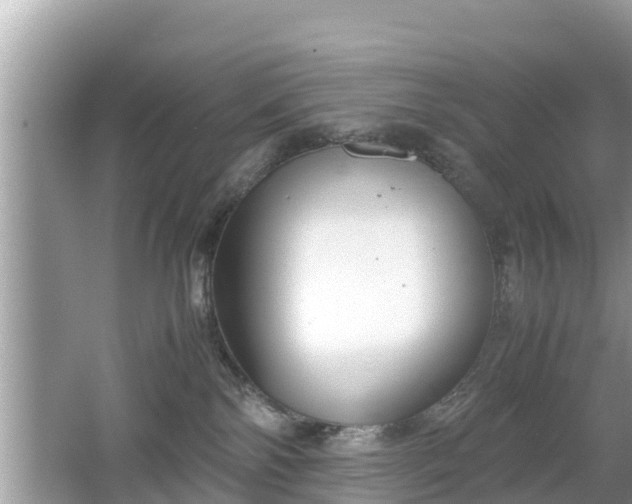 X0000062150138200512161244