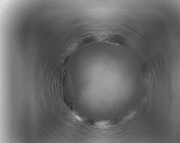 X0000062150139200512161244