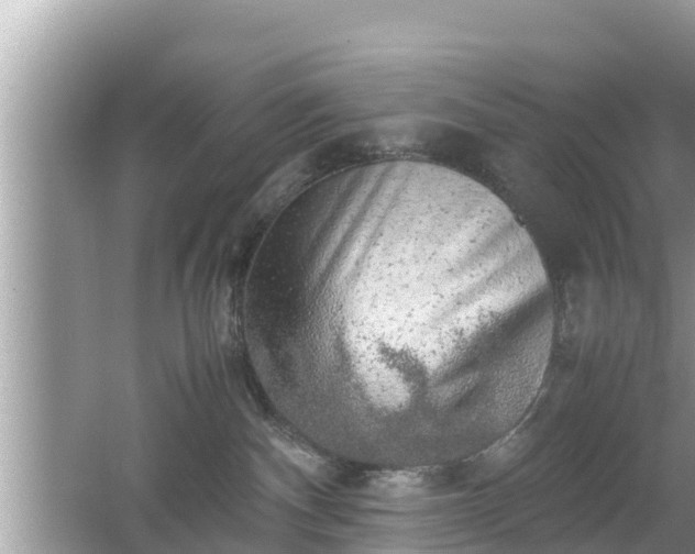 X0000062150140200512161244