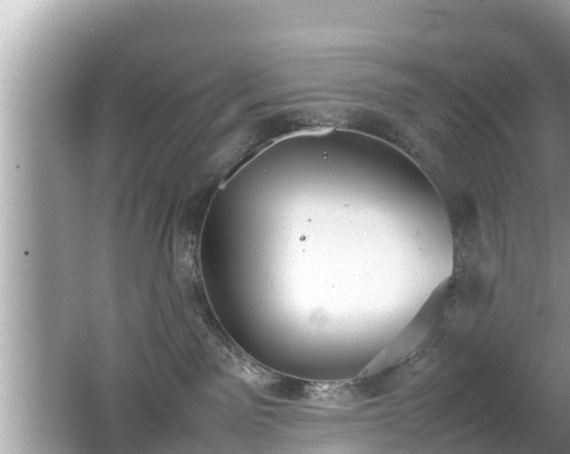 X0000062150141200512161244