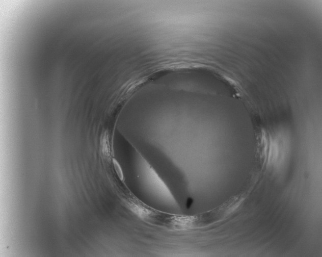 X0000062150143200512161244